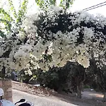 Begonvil - 1 بيت للعطل
