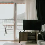 Begonvil - 1 كاس