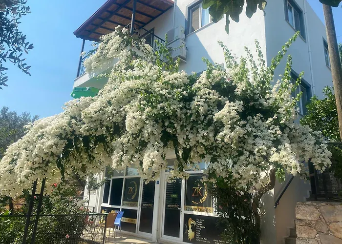 Begonvil - 1 Holiday home *